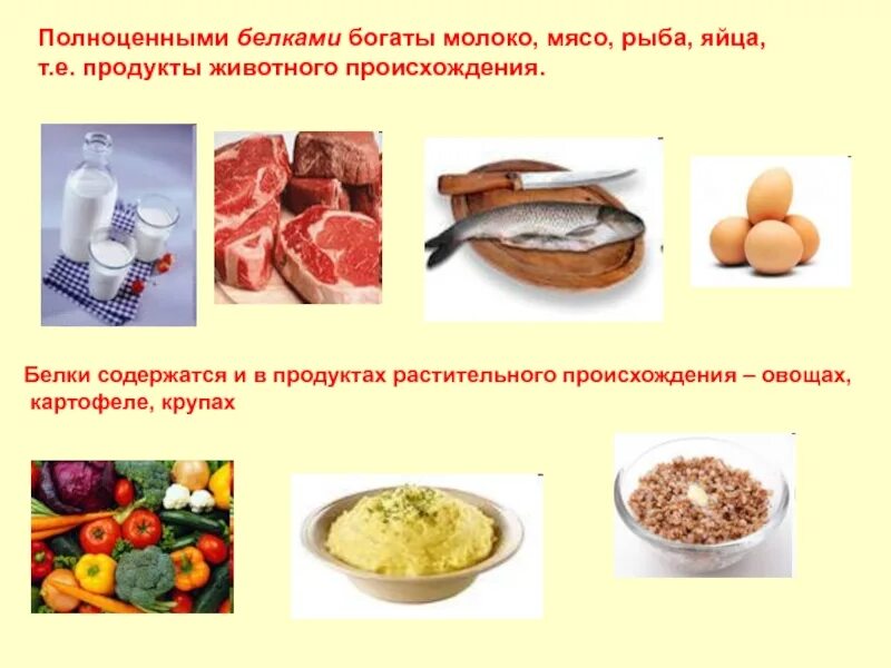 Источники полноценных белков. Пища растительного происхождения. Продукты животного происхождения. Продукты питания растительного и животного происхождения. Пища растительного происхождения и животного происхождения.