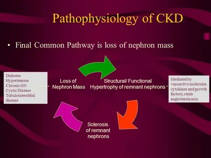 Chronic kidney disease