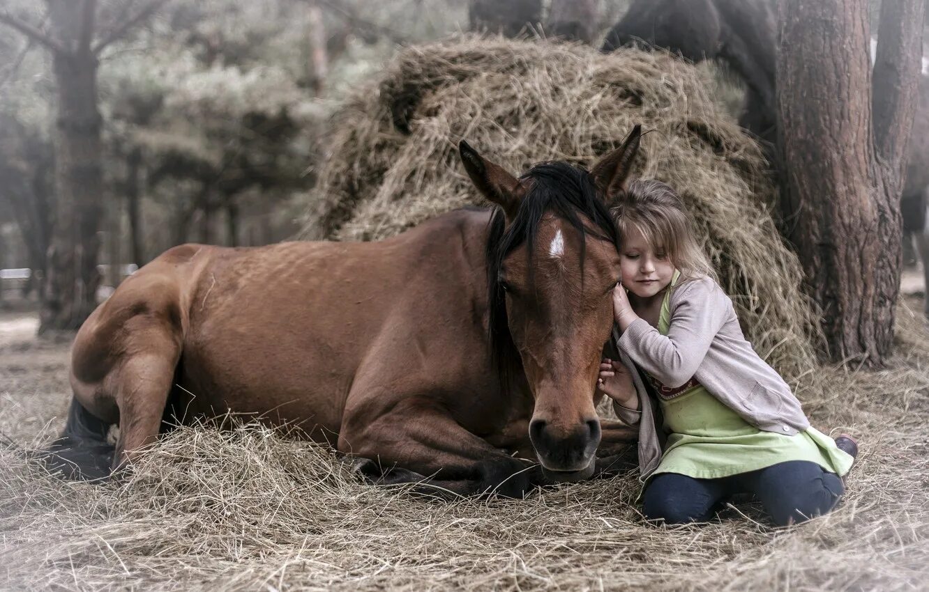 Фотосессия с лошадьми дети. Человек рядом с лошадью. Мальчик на лошади. Девушка с лошадью. Лошадь пьет чай