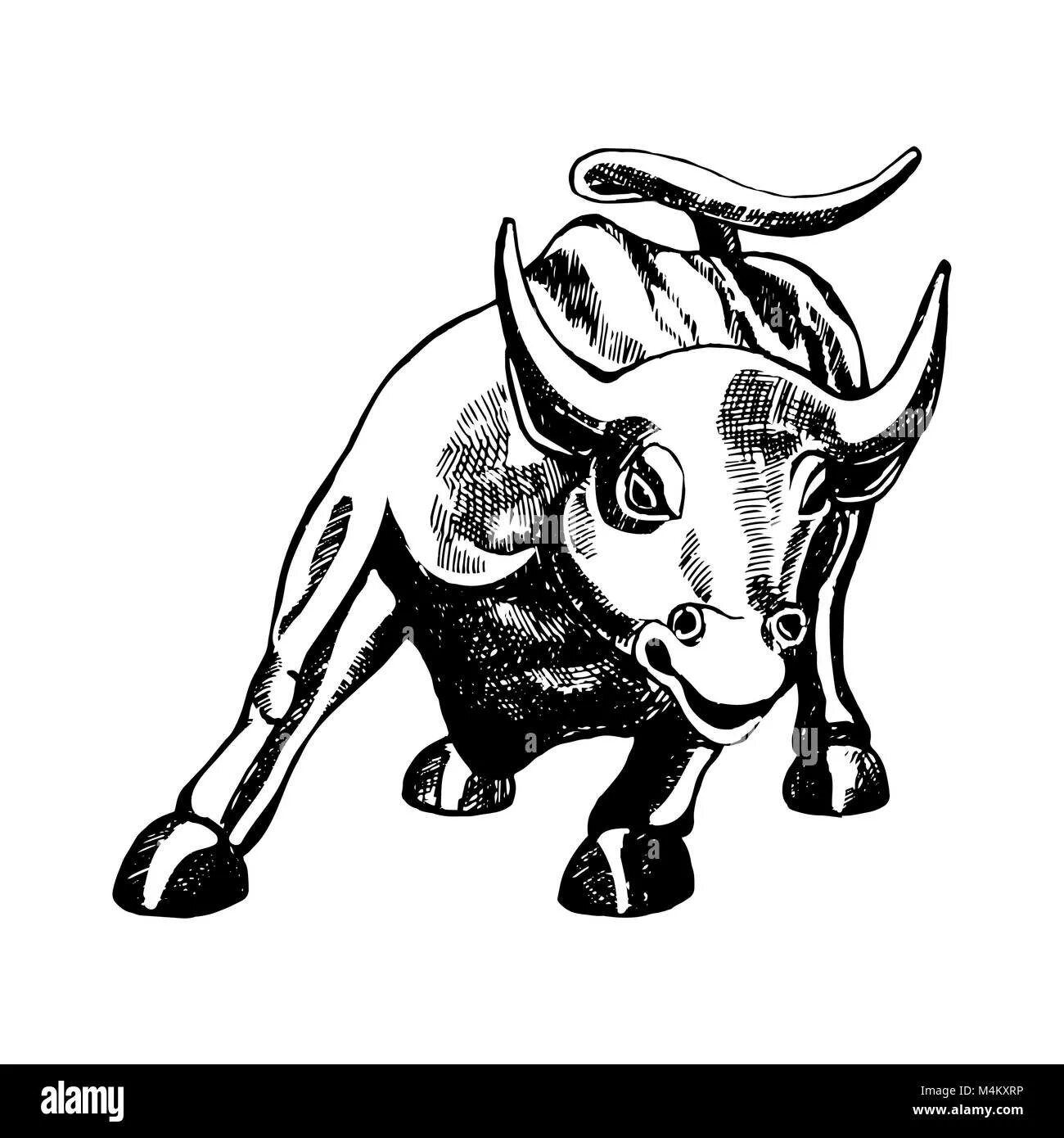 Styling bull
