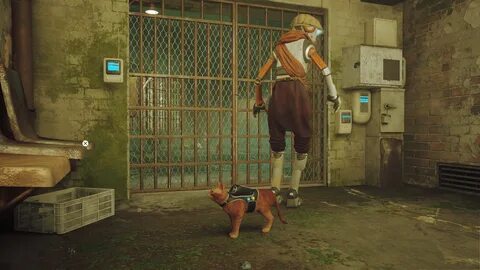 Stray out