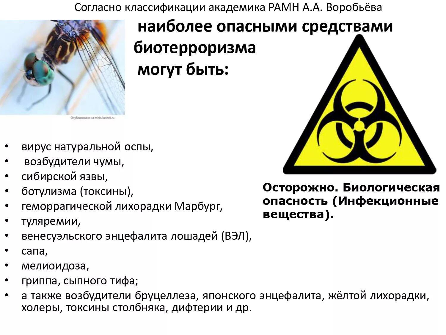 Перечислить опасности представляющие для человека. Биологическая опасность. Биологически опасные объекты. Биологическое оружие и биотерроризм. Биологическая безопасность.
