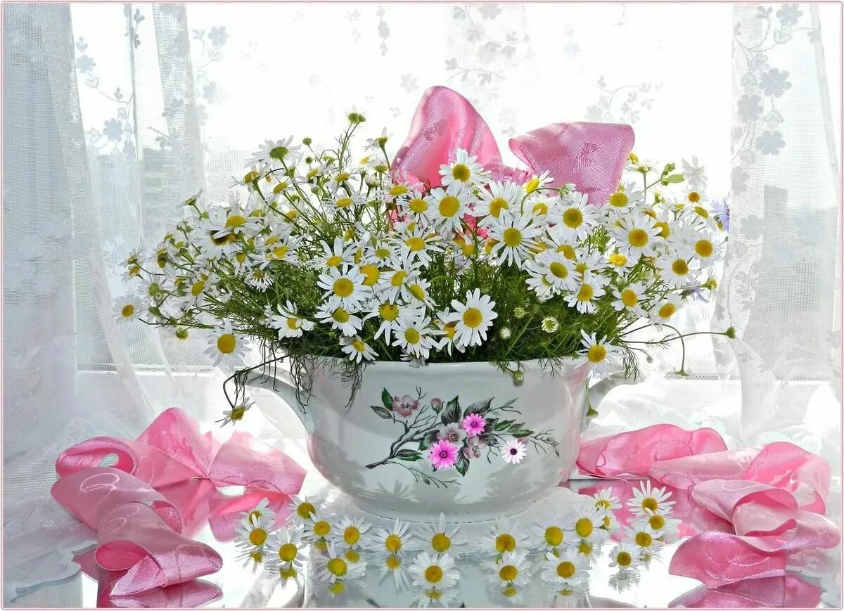Хорошего нежного дня настроения. Утренние цветы. Прекрасного утра и настроения. Утренние цветы с пожеланиями. Открытки с добрым утром воскресенья.