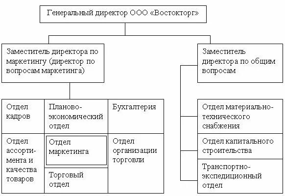 Структура оптовой торговли. Организационная структура оптовой торговли. Структура оптовой компании. Организационная структура предприятия оптовой торговли. Функции отдела экспедиции