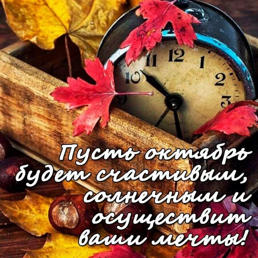 С добрым утром со смыслом мудрые. С добрым осенним утром. Открытки с добрым утром философские. Хорошего осеннего дня Мудрые мысли. Открытки с добрым утром осенние с пожеланиями.