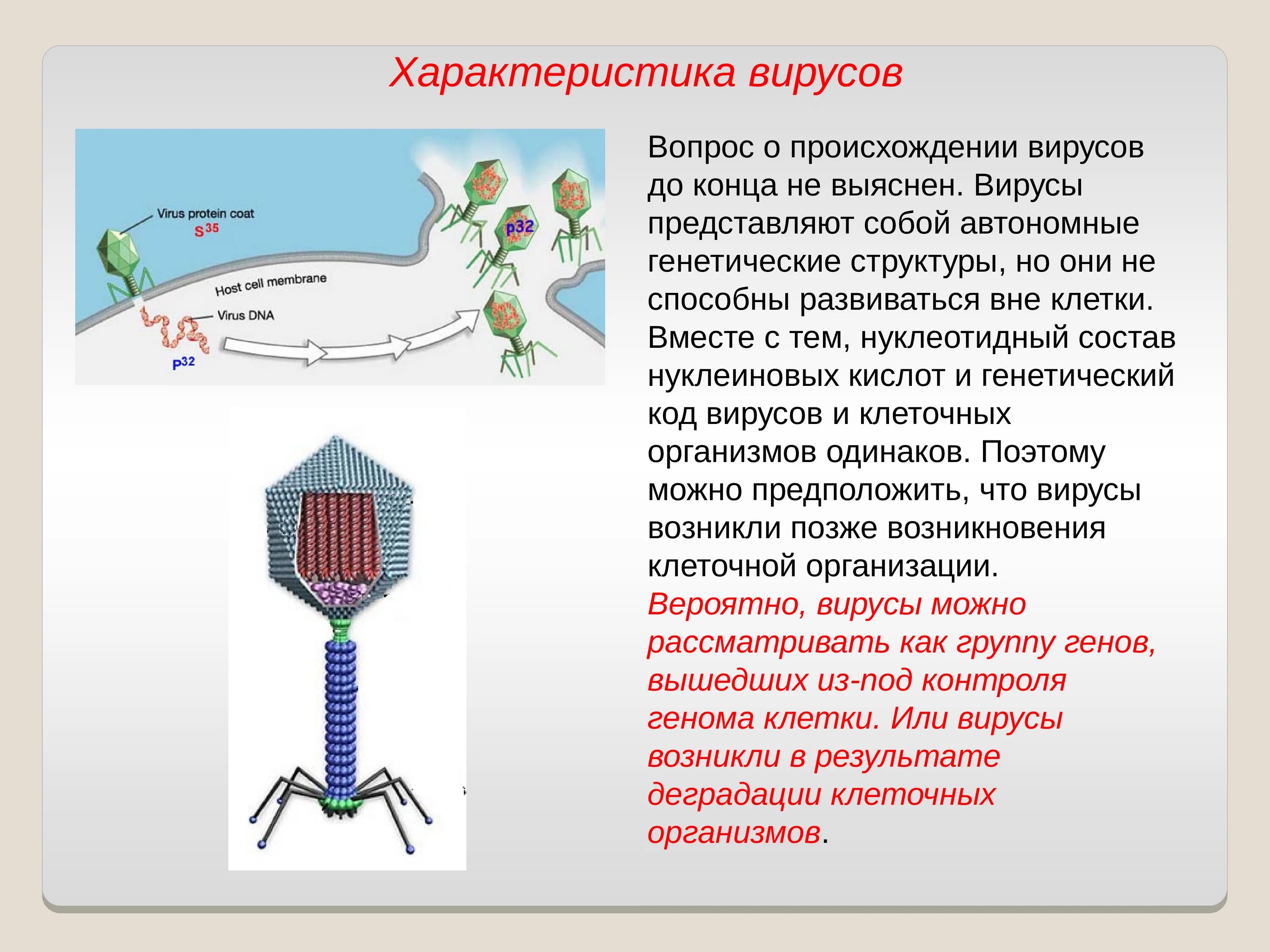 Общая характеристика вирусов. Особенности строения вирусов. Характеристика вирусов строение. Общее строение вирусов.