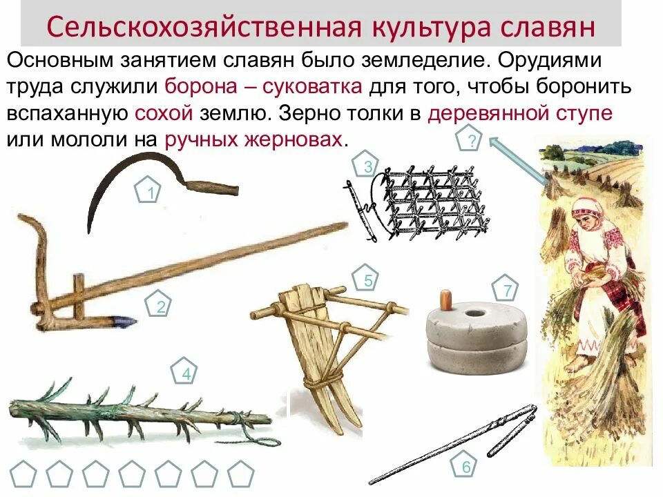 Орудия труда восточных. Восточные славяне борона суковатка. орудия труда древних славян соха. земледельческие орудия труда славян. борона суковатка у славян.
