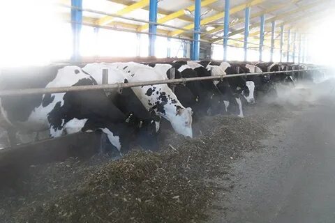 Спк дзержинского