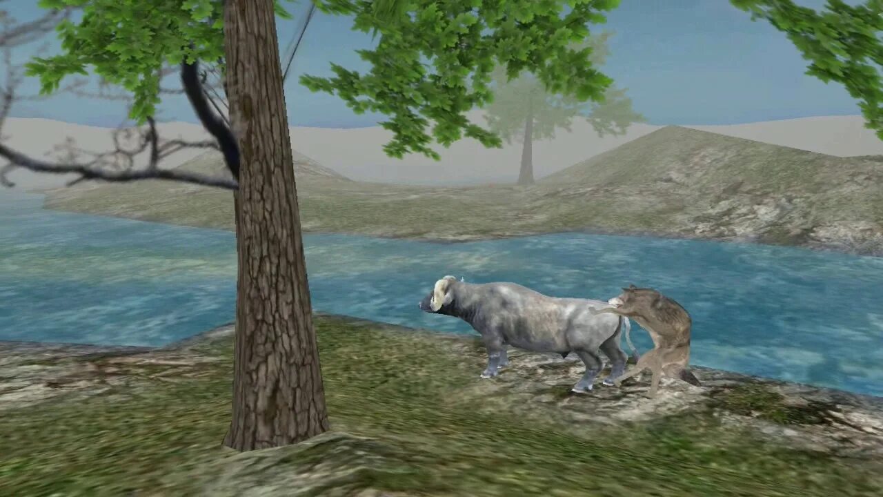 Мод wilder animals. Wild animals игра.
