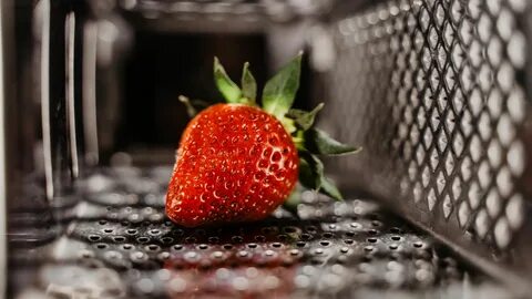 Cool fruits