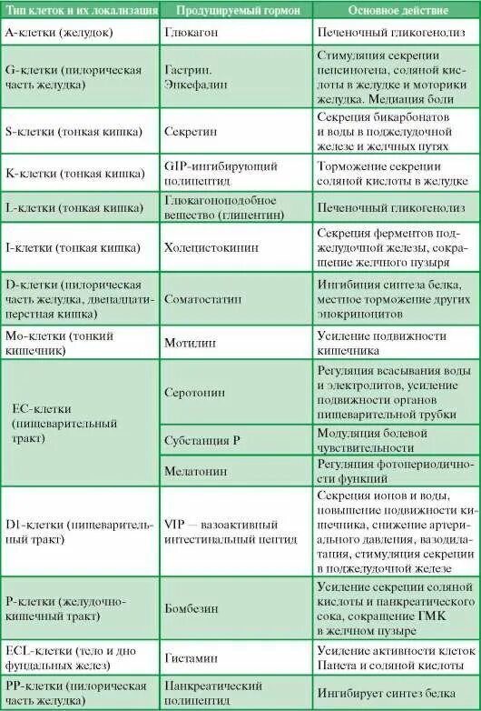 Пищеварительная система человека строение и функции таблица. Строение и функции пищеварительной системы таблица. Строение и функции органов пищеварительной системы таблица. Особенности строения пищеварительной системы человека таблица. Ферменты желудка таблица