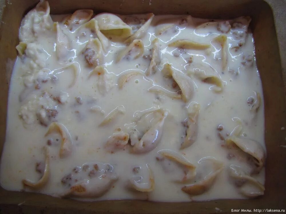 Фаршированные макароны ракушки. Макароны фаршированные фаршем. Макароны ракушки большие. Фаршированные макароны ракушки. Фаршированные ракушки с фаршем.