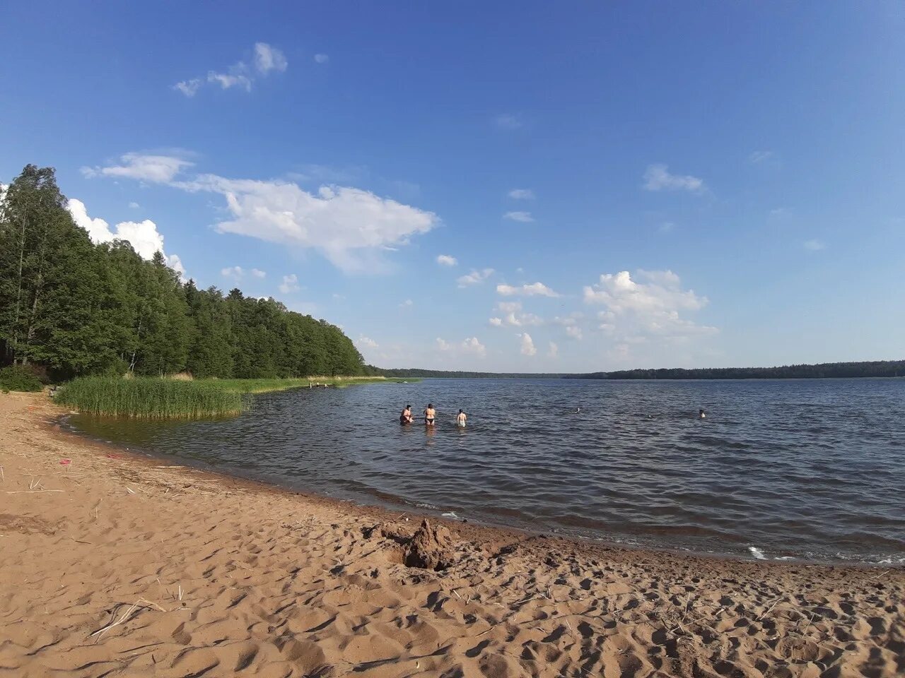 Озера ленинградской области отзывы