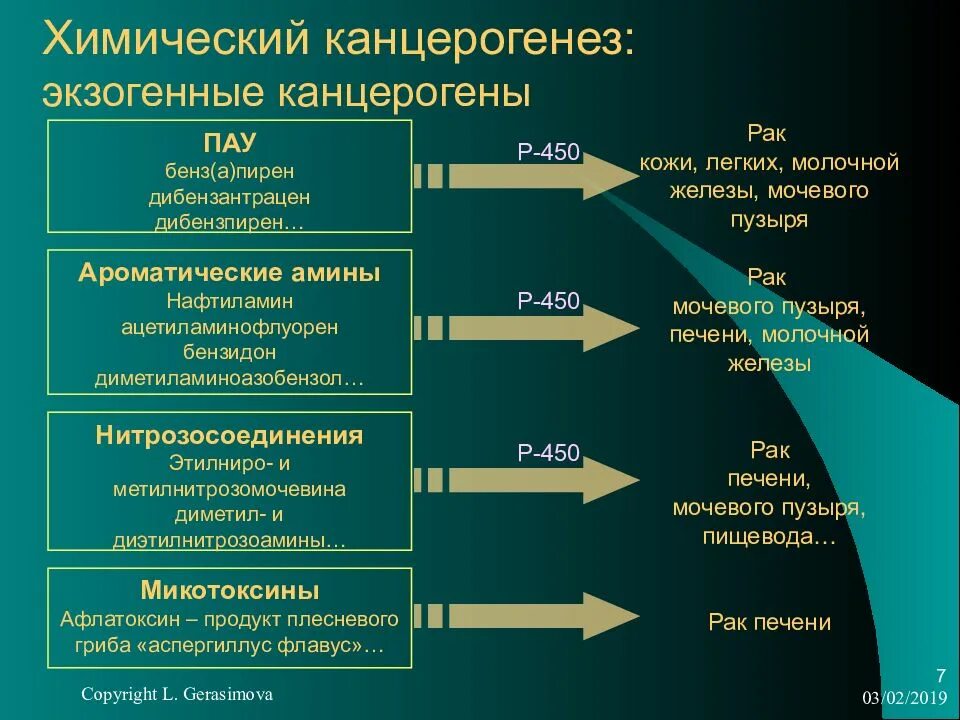 Химические канцерогены классификация. Механизм химического канцерогенеза. К химическим канцерогенам относятся. Классификация канцерогенов патофизиология. Канцерогены вызывают рак