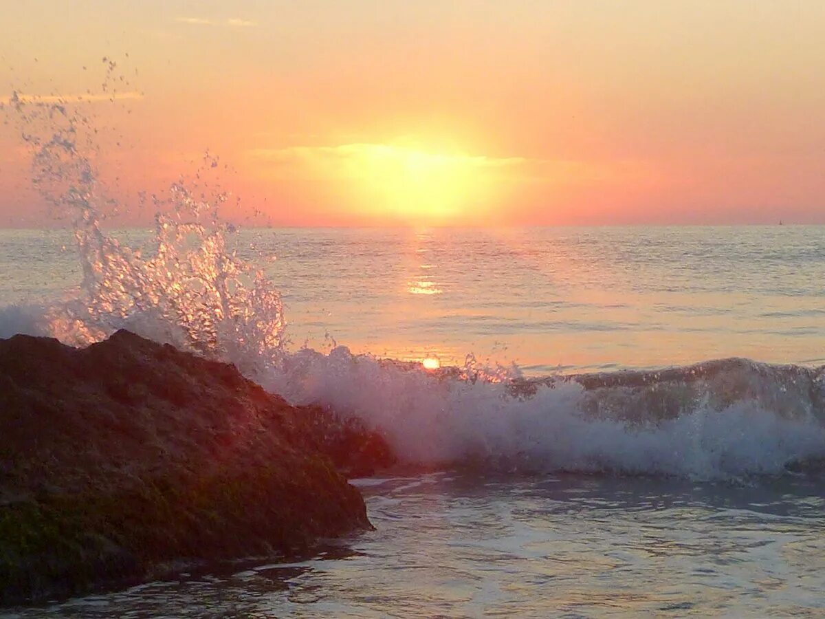 раннее утро море. раннее утро море. восход на море. море ранним утром. раннее утро море.