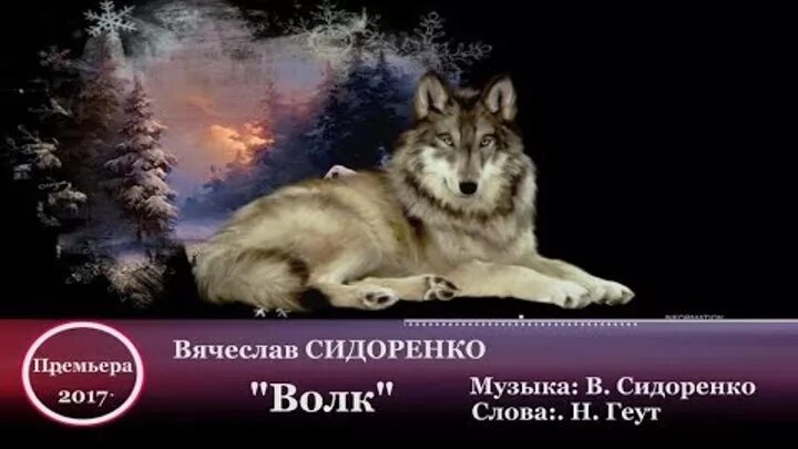 Минусовка песни волка. Песня волк свою свободу. Волк царь зверей. Песня волк свою свободу. Цитаты волка.