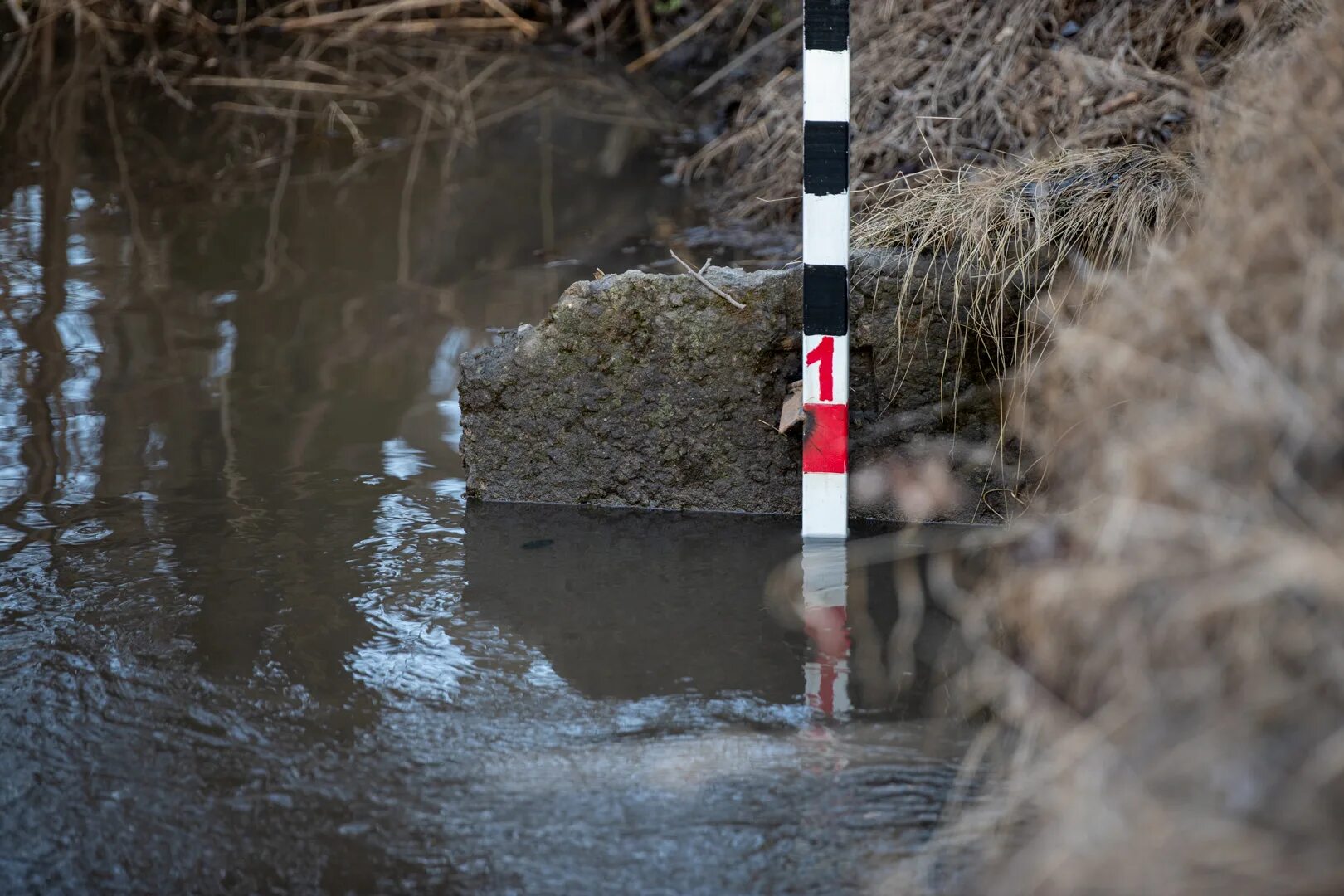 Уровень воды в упе тула сегодня. Уровень воды. Подъем воды в реке. Подъем уровня воды в реке. Разлив Упы в Тульской области.