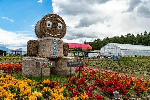 Цветочная ферма ставрополь
