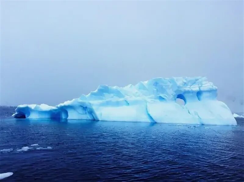 Антарктида Discovery. Спортивный многоместный голубой Антарктик.