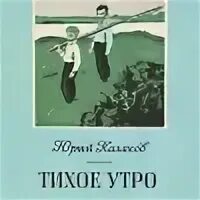 Тихое утро слушать кратко