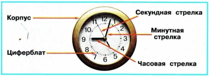 Стрелки встречаются через 65 минут. Название частей часов. Части часов для детей. Обозначение стрелок на часах. Строение часов для детей.