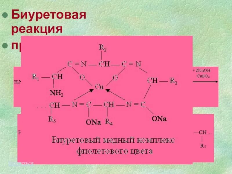 Отрицательная биуретовая реакция. Биуретовая реакция белков с cuso4. Биуретовая реакция NAOH cuso4. Биуретовая реакция на белки cuso4 NAOH. Cuso4 naoh продукты реакции