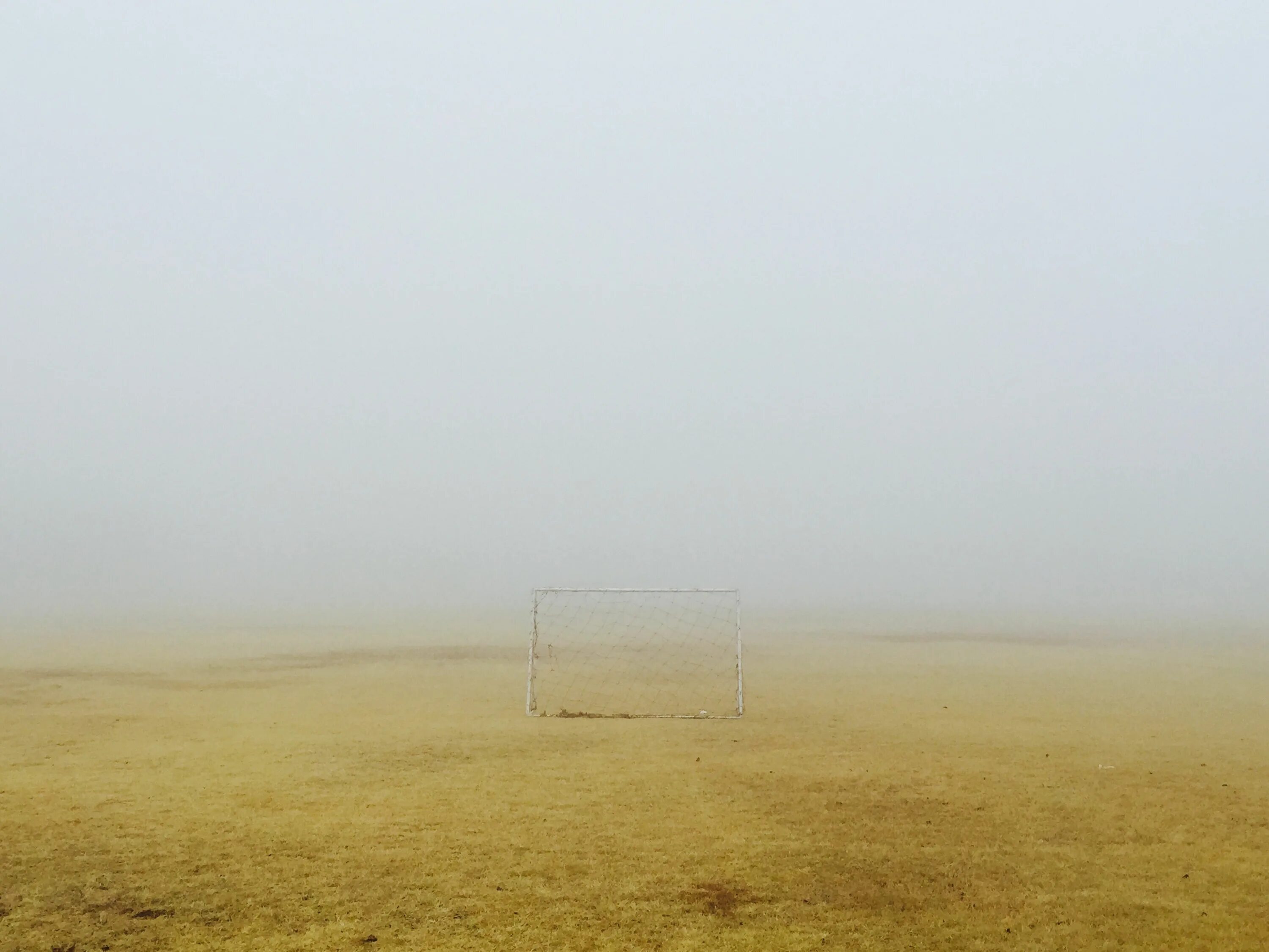 Пусты ое. Пустое поле. Сухое поле. Поле в тумане. Пусто поле.