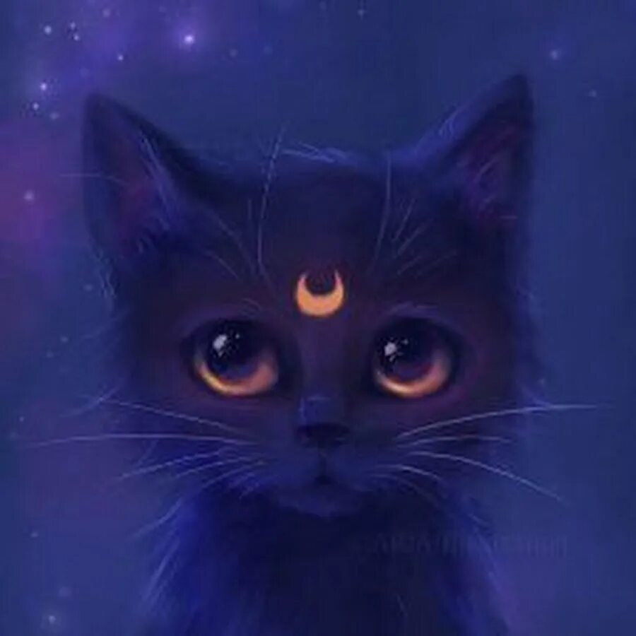 Котэ и синий. Фиолетовая кошка. Чёрный кот с фиолетовыми глазами. Кот арт. Чёрная кошка с фиолетовыми глазами.