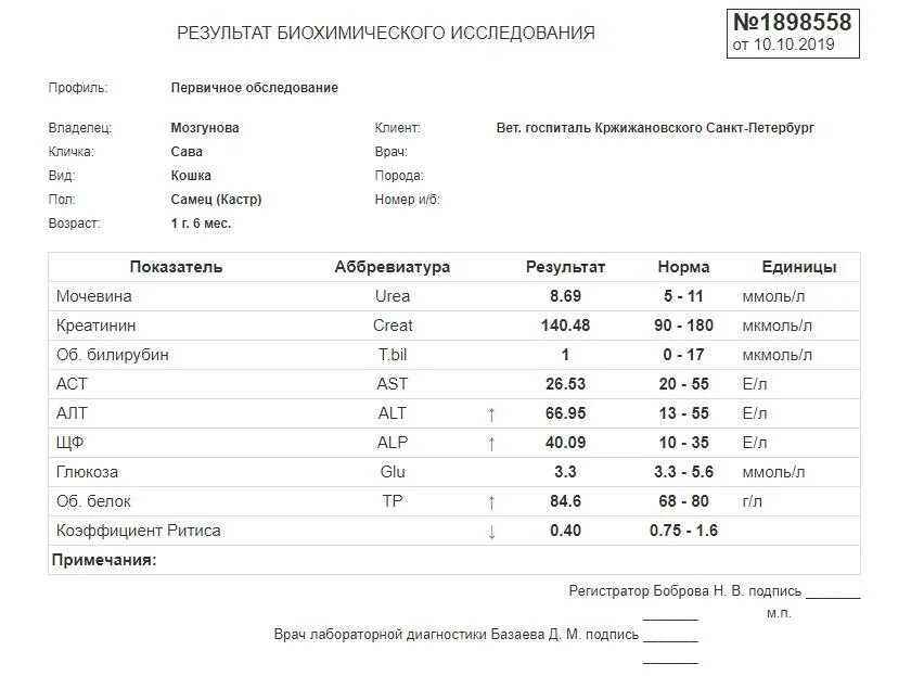 Анализы спб. СПБ В анализе крови что это такое. Общий анализ СПБ. Лаборатории анализов в СПБ.