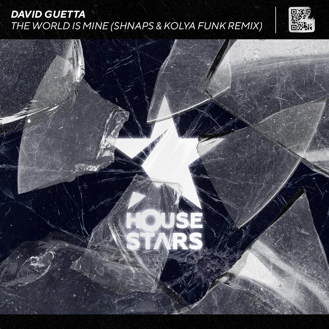 David guetta world is. Kolya funk remix. дэвид гетта ворлд из майн. david guetta the world is mine. дэвид фанк.