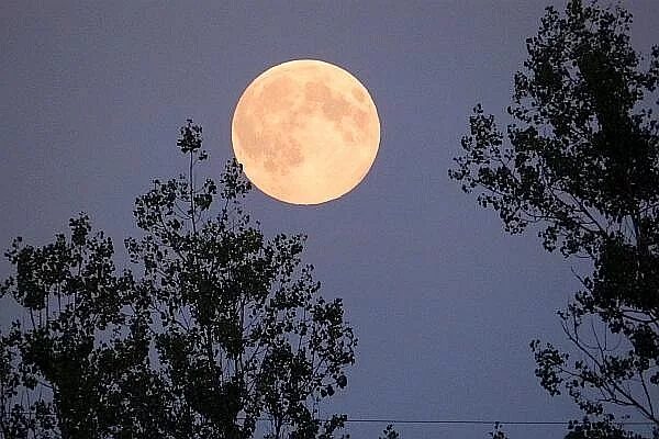 Полнолуниеиноволуние суперлуна. Большая Луна ущербная. Луна на Дальнем востоке. Луна новолуние большая. Новолуние новосибирск