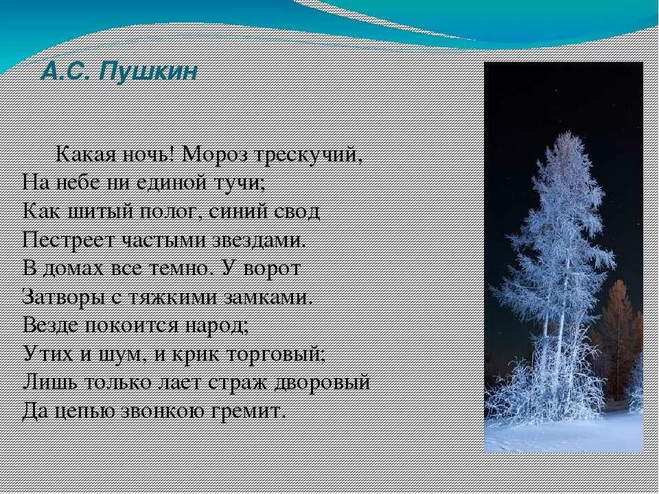 Стихотворение был сильный мороз. Стихи Пушкина о зиме. Стихотворение Пушкина прощиму. Стих про Мороз. Стихотворение Пушкина про зиму.