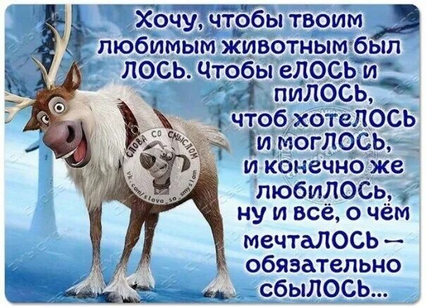 Всем желаю было чтоб оно. Поздравление лось. чтоб хотелось и моглось поздравление с днем рождения. поздравление с днём рождения лось. поздравления с лосем прикольные.
