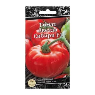 Звезда сибири