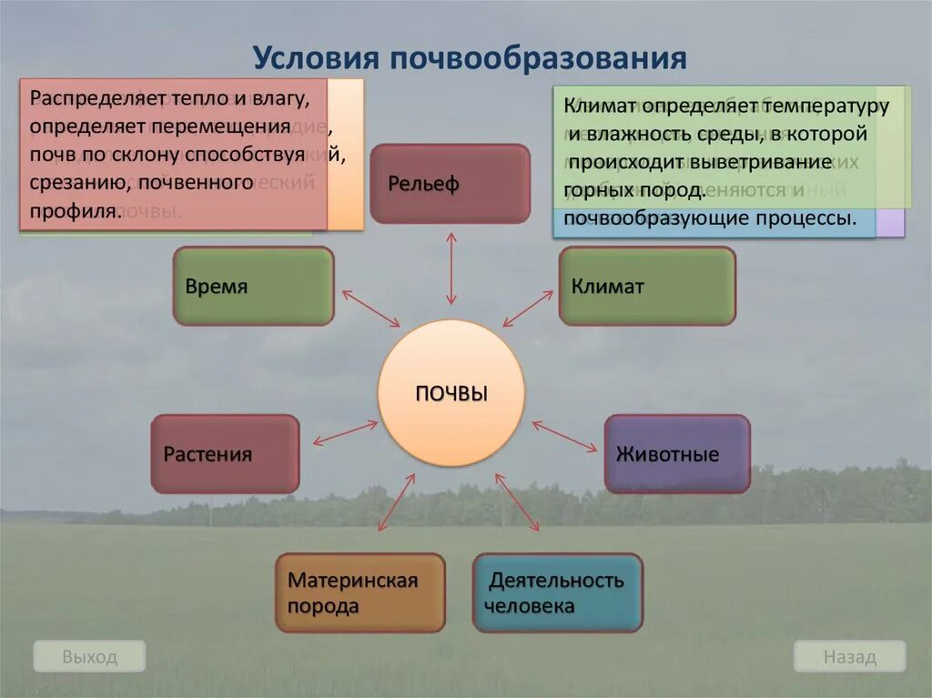 Благоприятные условия для изменений. Факторы почвообразования схема. Факторы образования почвы. Основные условия почвообразования. Что влияет на процесс формирования почва.