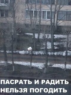 8 45 утра