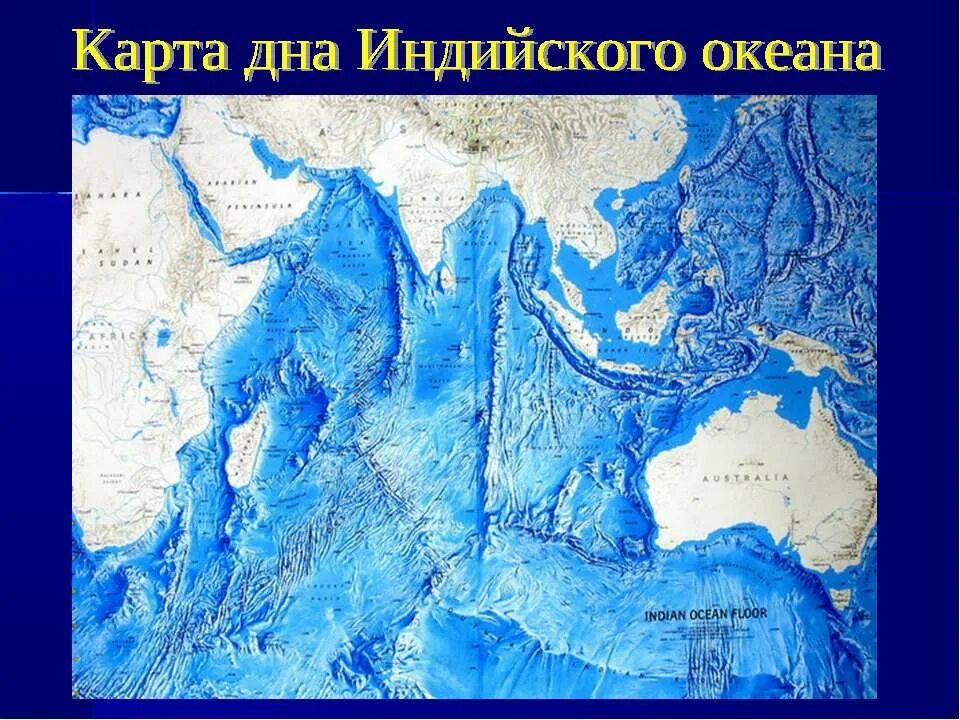 Впадины индийского океана. Рельеф дна Северного Ледовитого океана. Рельеф дна Тихого океана. Карта рельефа дна индийского океана. Рельеф на дне мирового океана