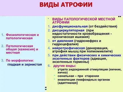 Общие проявления это
