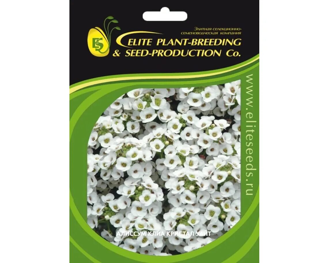 Алиссум клеа кристал вайт. Профессиональные цветочные семена. Профессиональные цветочные семена. Профсемена калибрахоа. Дражированные профессиональные семена томата.