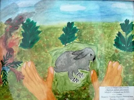 Рисунок к рассказу зайчие лапы