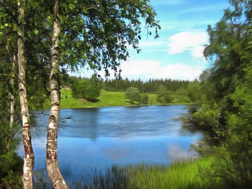 Каждый день проходил я мимо берёзы на которой. Каждый день проходил я мимо берёзы на которой чернело гнездо. Березовая роща рязань. Березовая роща тутаев. Мимо березовых.