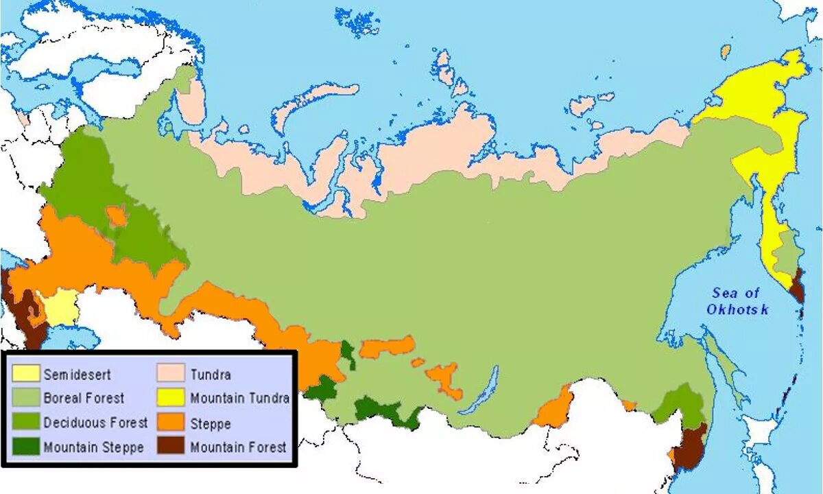 лиственница европейская ареал обитания. ареал сосны обыкновенной в россии. основные лесообразующие породы россии. лиственница сибирская ареал обитания. ареал лиственницы сибирской в россии на карте.