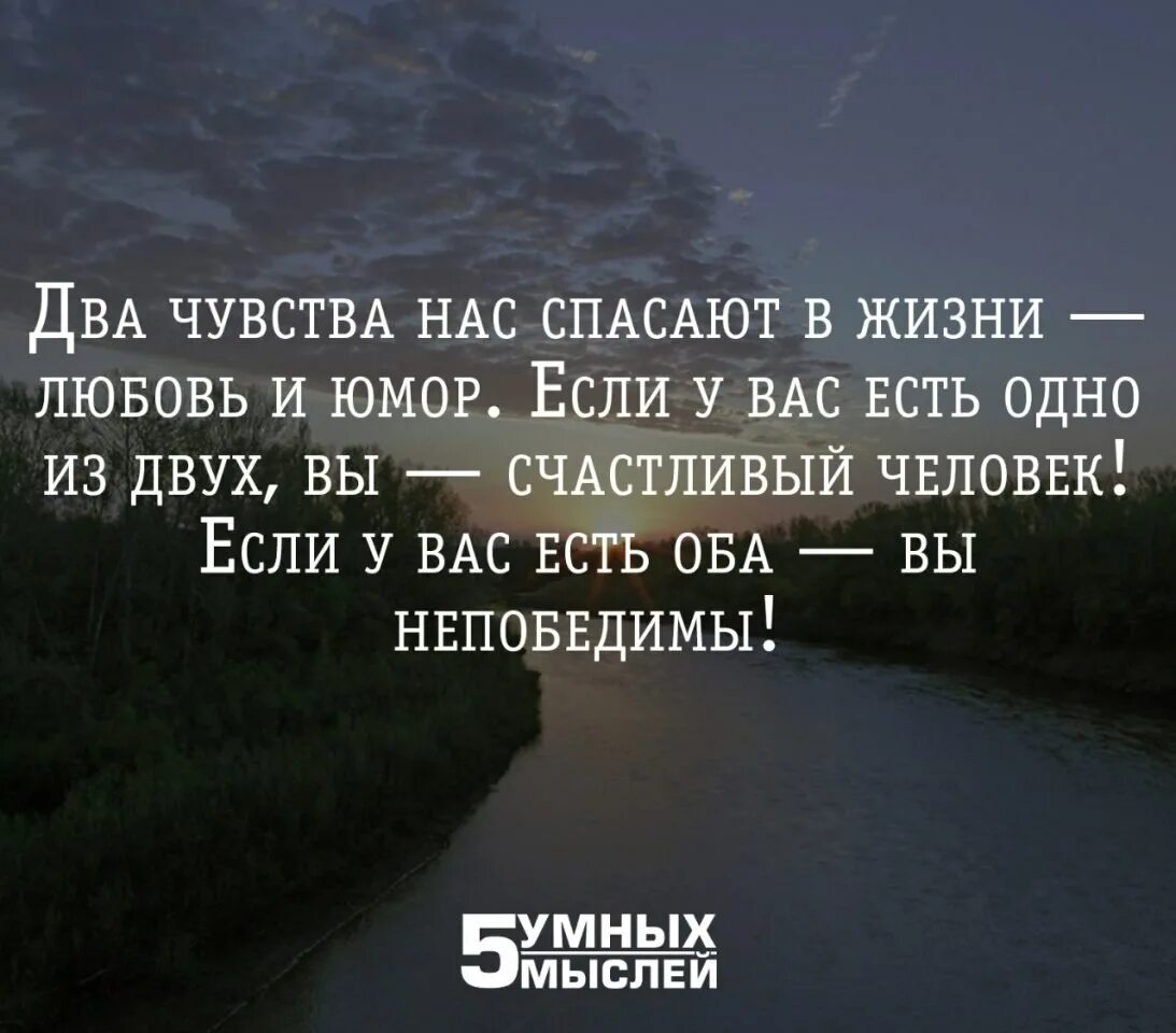 Чувствуй жизнь цитаты. Афоризмы о чувствах и эмоциях. цитаты от жизни. афоризмы про тяжелую жизнь. короткие цитаты.