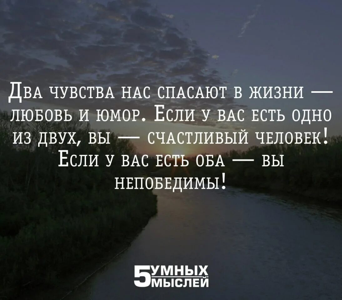 Когда человек чувствует себя счастливым пример. Цитаты о жизни со смыслом много. Короткие цитаты. Афоризмы про эмоции и чувства. Высказывания о чувствах.