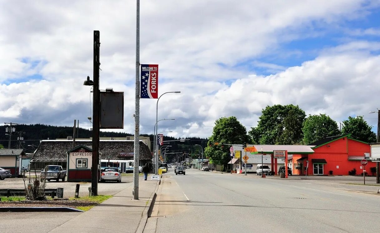 Городок Форкс,США. Форкс штат Вашингтон. Городок Форкс штат Вашингтон. Сиэтл Форкс. Ковид в сша