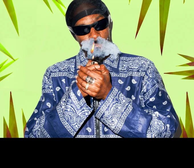 Снуп дог лейкерс. Костюм снуп дога. Костюм снуп дога. Snoop dogg фото. Шуба снуп догга.