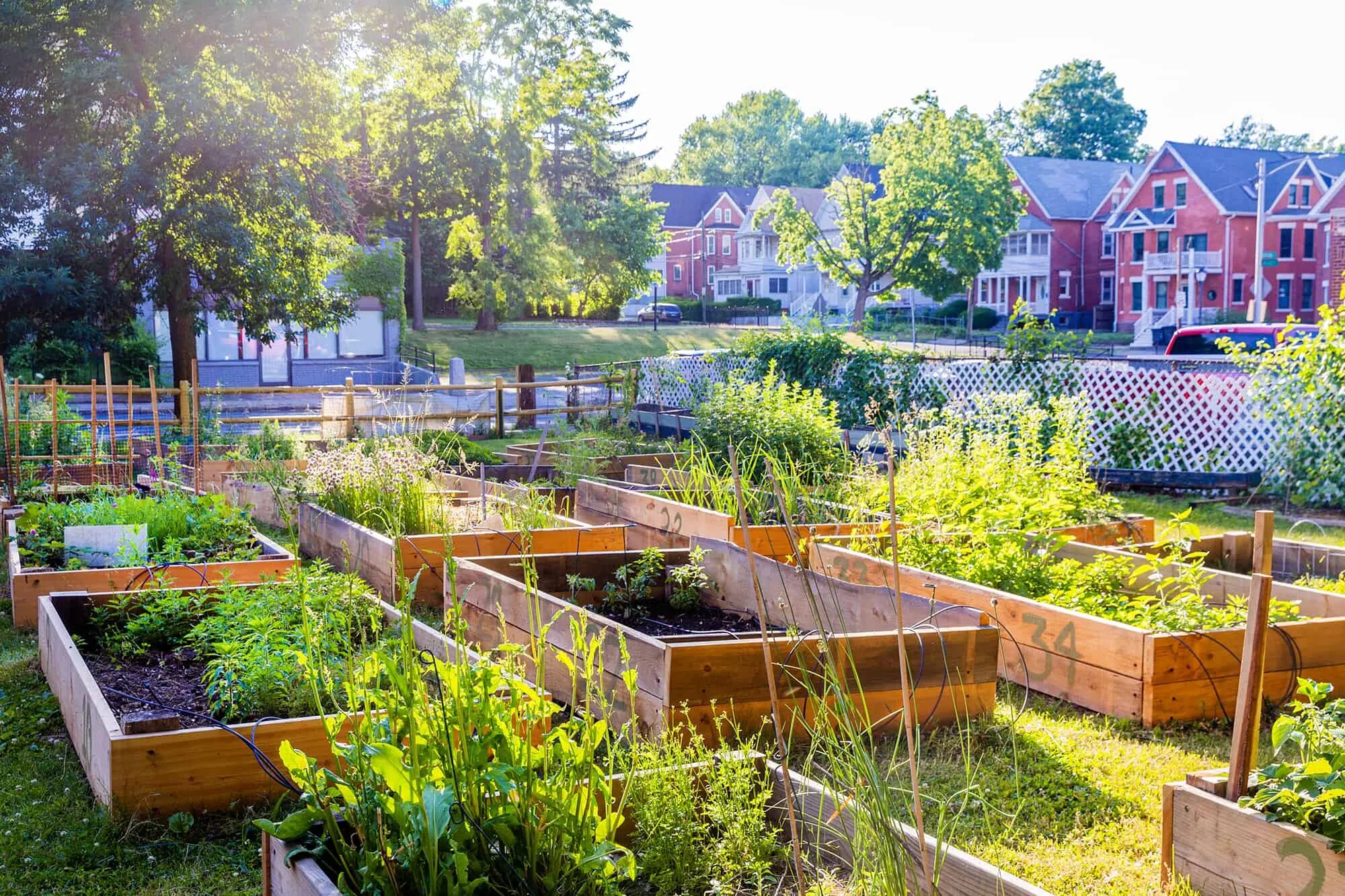 Сообщество сад. Сообщество сад огород. Community Garden. Community Gardening.