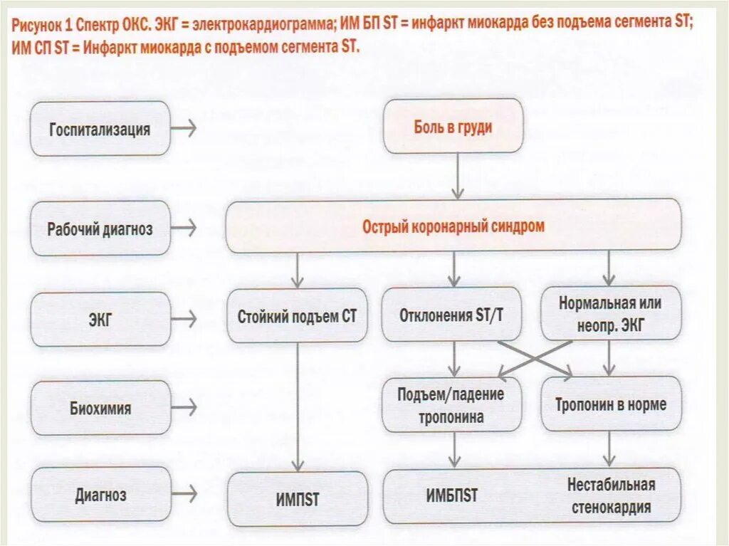 Тесты с ответами острый коронарный синдром. Острый коронарный синдром презентация. Коронарный синдром обоснование. Диаграмма острый коронарный синдром. Острый коронарный синдром презентация анестезиология.