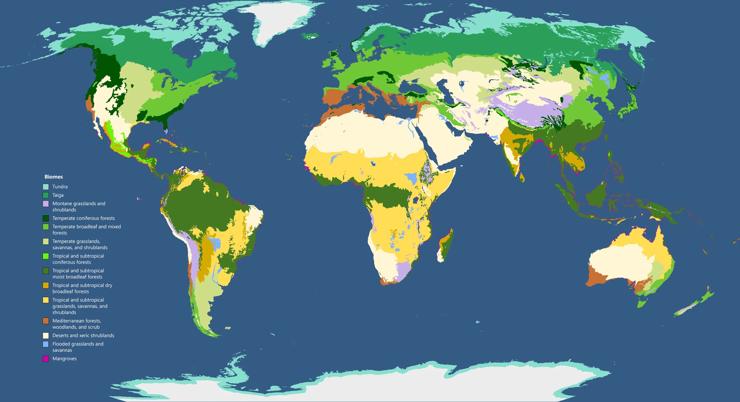 In most areas of the world. Карта земли. Биомы земли.