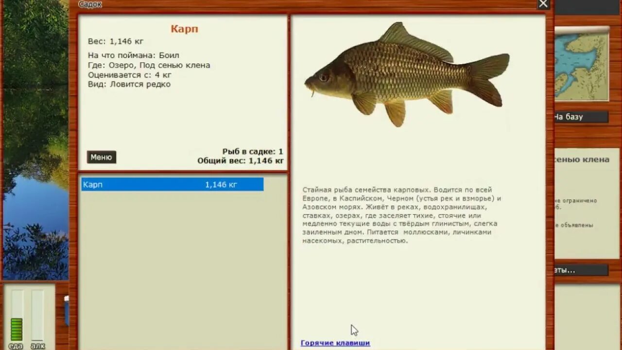 Игра рыбалка лабынкыр. Русская рыбалка 3 Рыбхоз Карп. Рр2 Лабынкыр. Рр3 карповая заводь. Русская рыбалка 3 под сенью клена.